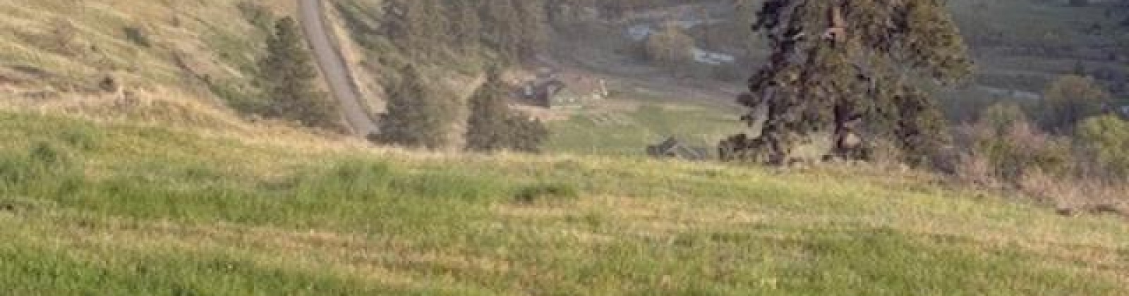 Lot 5 Red Tail Ridge, Colfax, Washington 99111, ,Houses,For Sale,Lot 5 Red Tail Ridge,283707