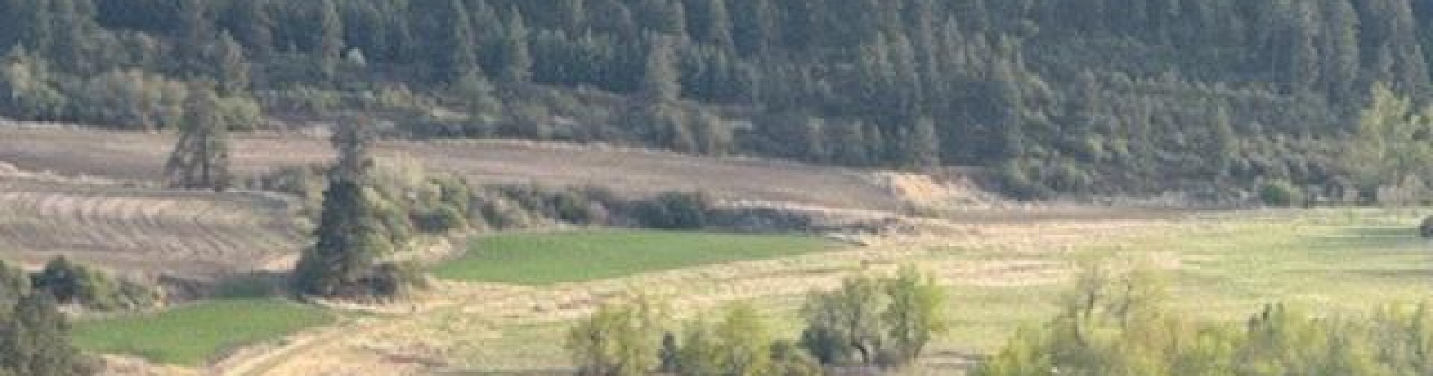 Lot 5 Red Tail Ridge, Colfax, Washington 99111, ,Houses,For Sale,Lot 5 Red Tail Ridge,283707
