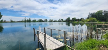 Fir Rd, Eltopia, Washington 99330-9768, 5 Bedrooms Bedrooms, ,2 BathroomsBathrooms,Site Built-owned Lot,For Sale,Fir Rd,284171