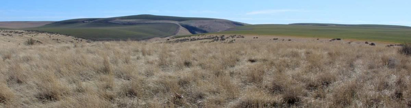 Taggart PR SE, Benton City, Washington 99320, ,Residential,For Sale,Taggart PR SE,283878