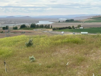 Ringold Rd (Parcel A), Eltopia, Washington 99330-9728, ,Houses,For Sale,Ringold Rd (Parcel A),283914