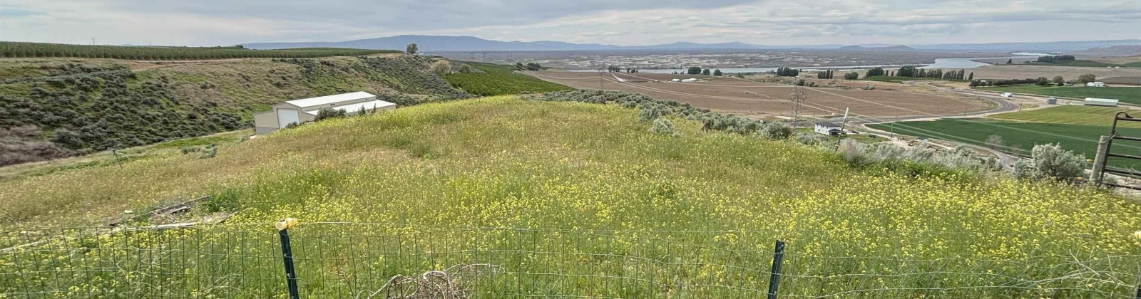 Ringold Rd (Parcel A), Eltopia, Washington 99330-9728, ,Houses,For Sale,Ringold Rd (Parcel A),283914