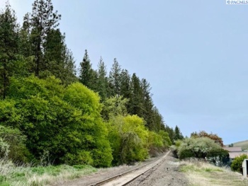 By Perkins St, Colfax, Washington 99111, ,Agricultural Land,For Sale,By Perkins St,283919