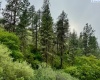 By Perkins St, Colfax, Washington 99111, ,Agricultural Land,For Sale,By Perkins St,283919