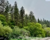 By Perkins St, Colfax, Washington 99111, ,Agricultural Land,For Sale,By Perkins St,283919