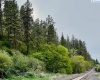 By Perkins St, Colfax, Washington 99111, ,Agricultural Land,For Sale,By Perkins St,283919