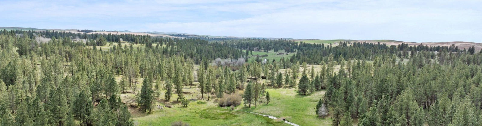 Vacant Land, Rosalia, Washington 99170, ,Agricultural Land,For Sale,Vacant Land,283926