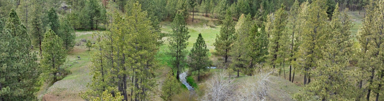Vacant Land, Rosalia, Washington 99170, ,Agricultural Land,For Sale,Vacant Land,283926