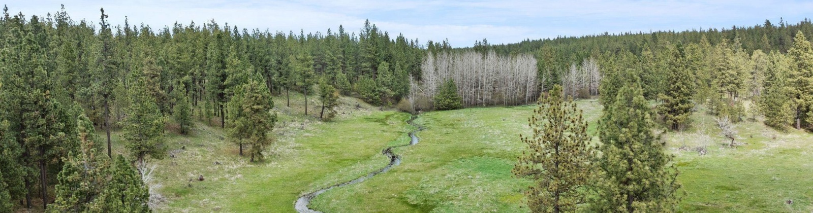 Vacant Land, Rosalia, Washington 99170, ,Agricultural Land,For Sale,Vacant Land,283926