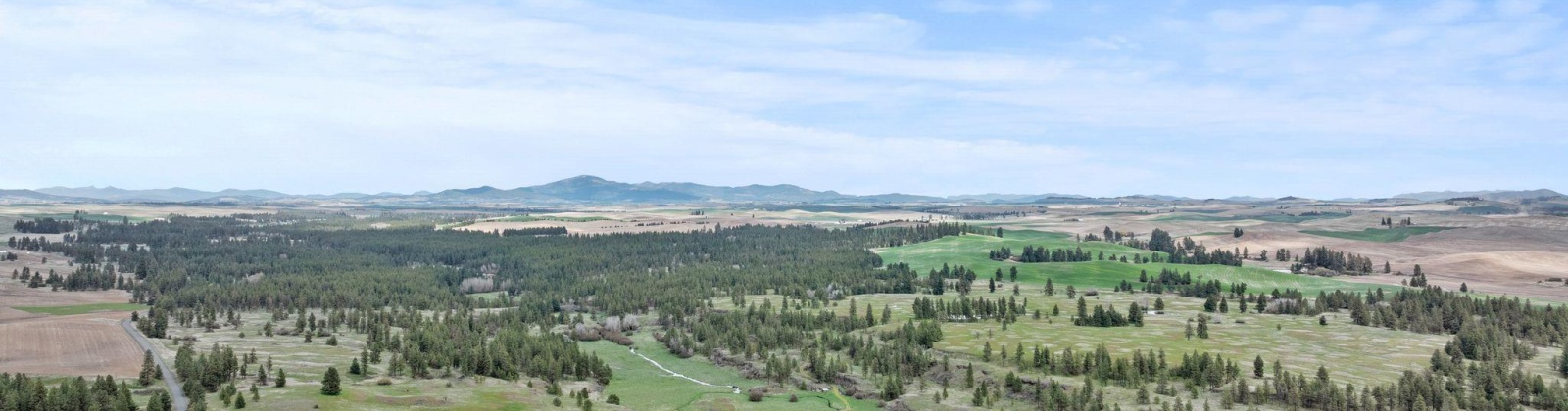 Vacant Land, Rosalia, Washington 99170, ,Agricultural Land,For Sale,Vacant Land,283926