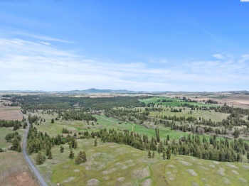 Vacant Land, Rosalia, Washington 99170, ,Agricultural Land,For Sale,Vacant Land,283926