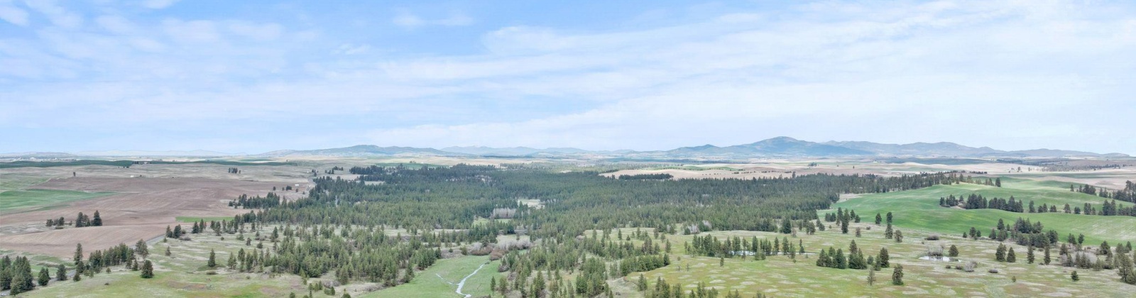 Vacant Land, Rosalia, Washington 99170, ,Agricultural Land,For Sale,Vacant Land,283926