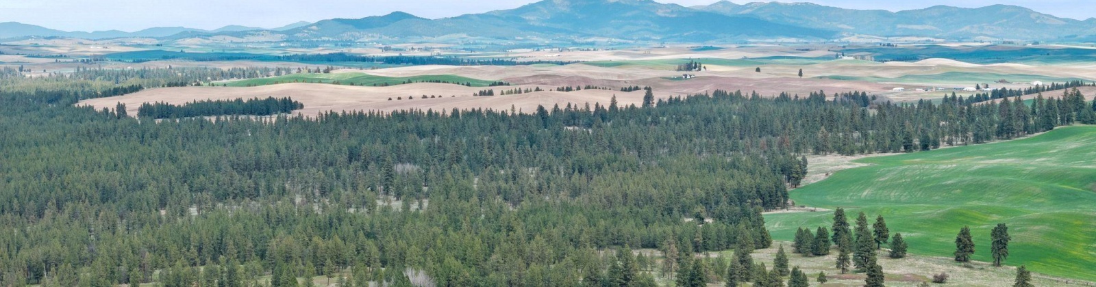 Vacant Land, Rosalia, Washington 99170, ,Agricultural Land,For Sale,Vacant Land,283926