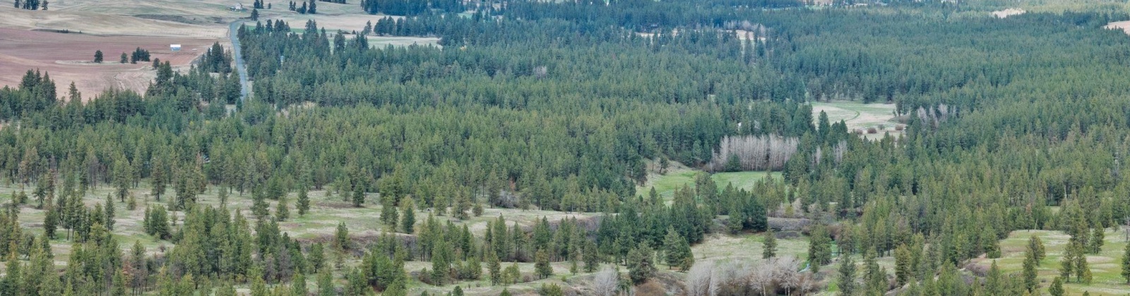 Vacant Land, Rosalia, Washington 99170, ,Agricultural Land,For Sale,Vacant Land,283926