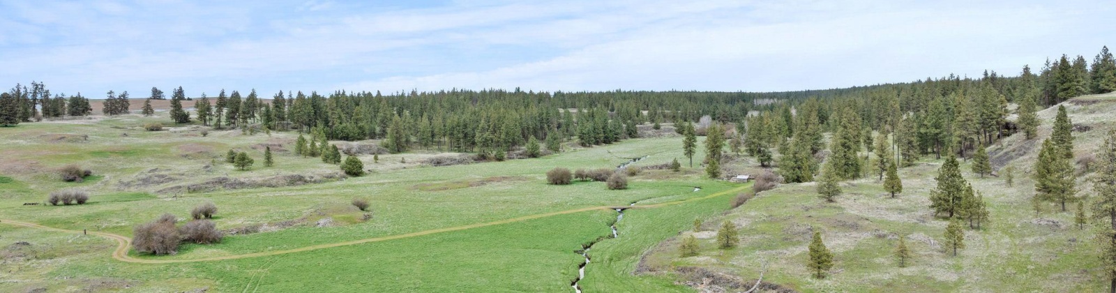 Vacant Land, Rosalia, Washington 99170, ,Agricultural Land,For Sale,Vacant Land,283926