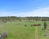 Vacant Land, Rosalia, Washington 99170, ,Agricultural Land,For Sale,Vacant Land,283926