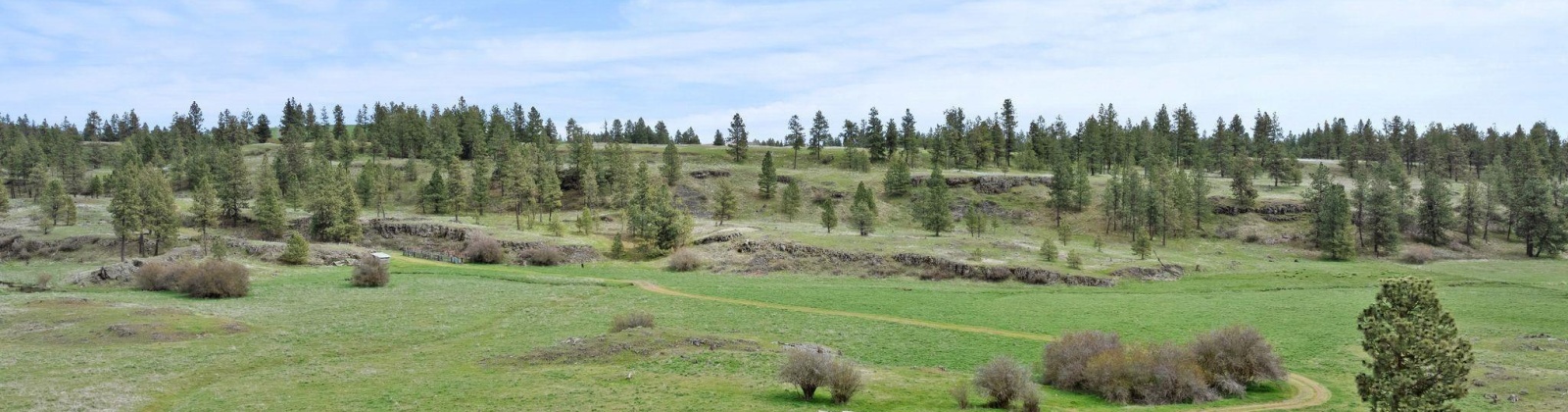 Vacant Land, Rosalia, Washington 99170, ,Agricultural Land,For Sale,Vacant Land,283926