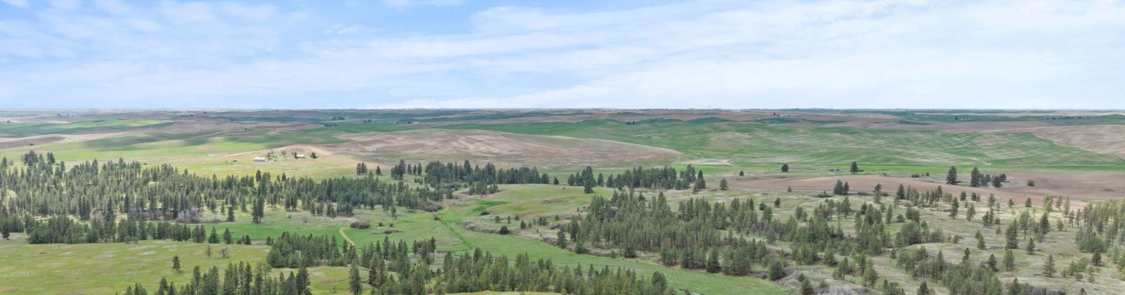 Vacant Land, Rosalia, Washington 99170, ,Agricultural Land,For Sale,Vacant Land,283926