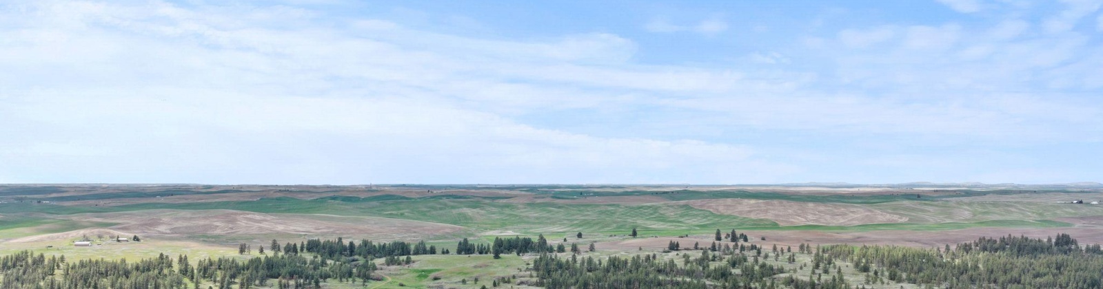 Vacant Land, Rosalia, Washington 99170, ,Agricultural Land,For Sale,Vacant Land,283926