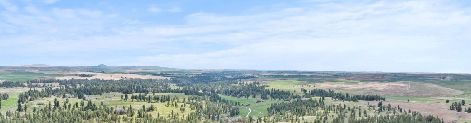 Vacant Land, Rosalia, Washington 99170, ,Agricultural Land,For Sale,Vacant Land,283926