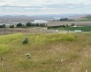 Ringold Rd (Parcel D), Eltopia, Washington 99330-9728, ,Houses,For Sale,Ringold Rd (Parcel D),283929