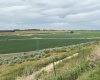 Ringold Rd (Parcel D), Eltopia, Washington 99330-9728, ,Houses,For Sale,Ringold Rd (Parcel D),283929