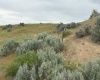 Ringold Rd (Parcel D), Eltopia, Washington 99330-9728, ,Houses,For Sale,Ringold Rd (Parcel D),283929
