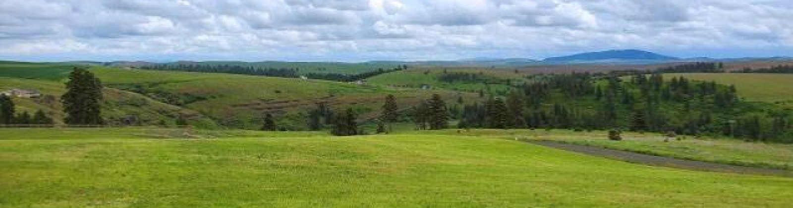 Red Tail Ridge, Colfax, Washington 99111, ,Residential,For Sale,Red Tail Ridge,283942