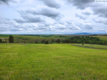 Red Tail Ridge, Colfax, Washington 99111, ,Residential,For Sale,Red Tail Ridge,283942