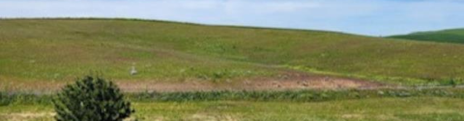 Red Tail Ridge, Colfax, Washington 99111, ,Residential,For Sale,Red Tail Ridge,283942