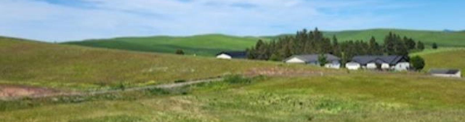 Red Tail Ridge, Colfax, Washington 99111, ,Residential,For Sale,Red Tail Ridge,283942