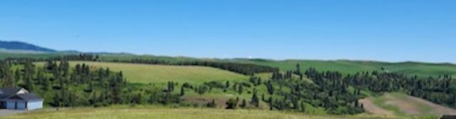Red Tail Ridge, Colfax, Washington 99111, ,Residential,For Sale,Red Tail Ridge,283942