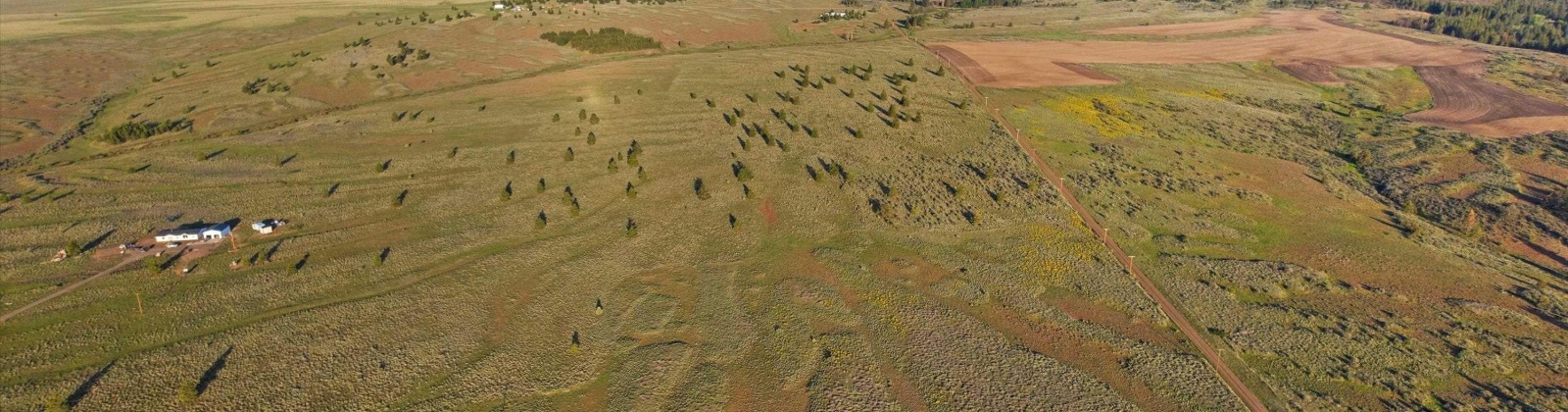 Middle Rd, Bickleton, Washington 99322, ,Agricultural Land,For Sale,Middle Rd,284193