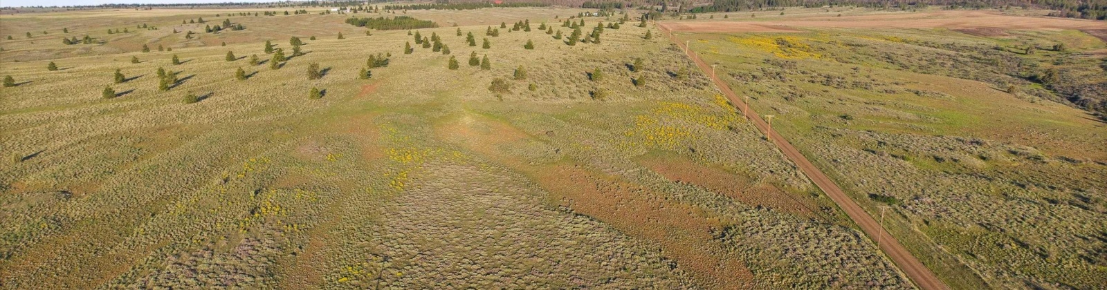 Middle Rd, Bickleton, Washington 99322, ,Agricultural Land,For Sale,Middle Rd,284193