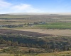 Middle Rd, Bickleton, Washington 99322, ,Agricultural Land,For Sale,Middle Rd,284193