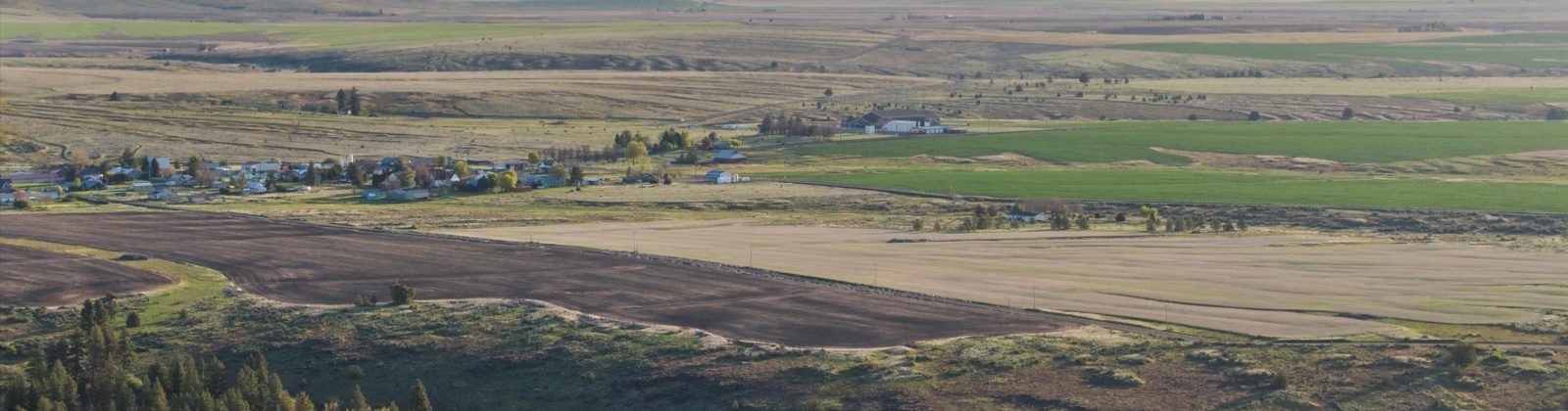 Middle Rd, Bickleton, Washington 99322, ,Agricultural Land,For Sale,Middle Rd,284193