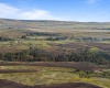 Middle Rd, Bickleton, Washington 99322, ,Agricultural Land,For Sale,Middle Rd,284193
