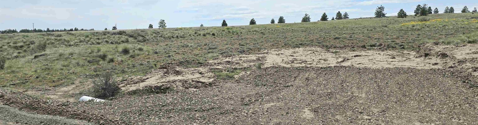 Middle Rd, Bickleton, Washington 99322, ,Agricultural Land,For Sale,Middle Rd,284193