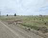 Middle Rd, Bickleton, Washington 99322, ,Agricultural Land,For Sale,Middle Rd,284193