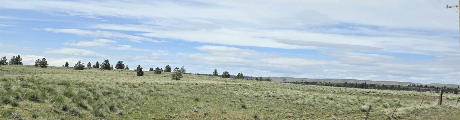 Middle Rd, Bickleton, Washington 99322, ,Agricultural Land,For Sale,Middle Rd,284193