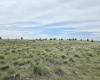 Middle Rd, Bickleton, Washington 99322, ,Agricultural Land,For Sale,Middle Rd,284193