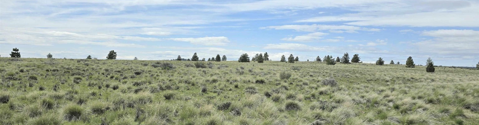 Middle Rd, Bickleton, Washington 99322, ,Agricultural Land,For Sale,Middle Rd,284193