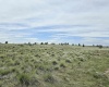 Middle Rd, Bickleton, Washington 99322, ,Agricultural Land,For Sale,Middle Rd,284193