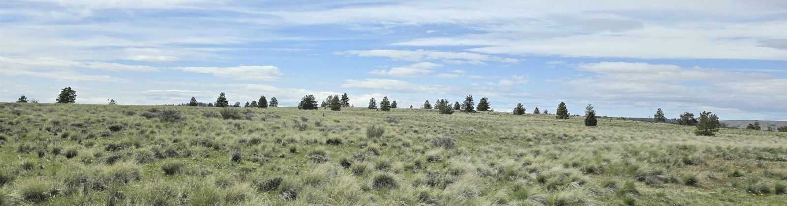 Middle Rd, Bickleton, Washington 99322, ,Agricultural Land,For Sale,Middle Rd,284193