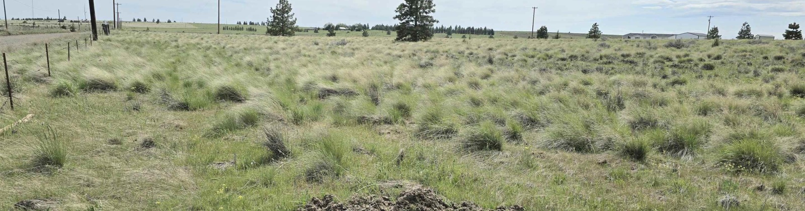 Middle Rd, Bickleton, Washington 99322, ,Agricultural Land,For Sale,Middle Rd,284193