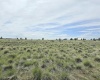 Middle Rd, Bickleton, Washington 99322, ,Agricultural Land,For Sale,Middle Rd,284193