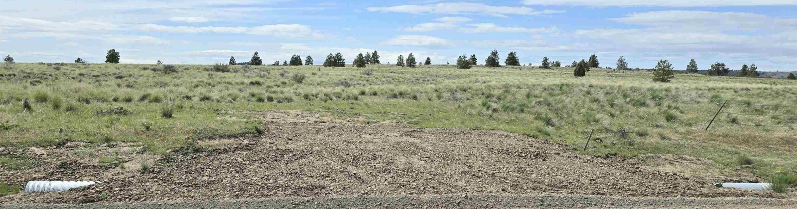 Middle Rd, Bickleton, Washington 99322, ,Agricultural Land,For Sale,Middle Rd,284193