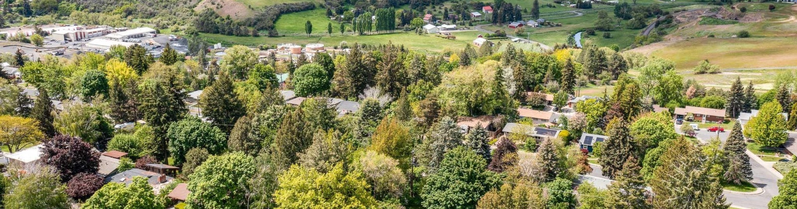 Haven Circle, Pullman, Washington 99163-3363, 4 Bedrooms Bedrooms, 0 ,2 BathroomsBathrooms,Houses,For Sale,Haven Circle,0,284290