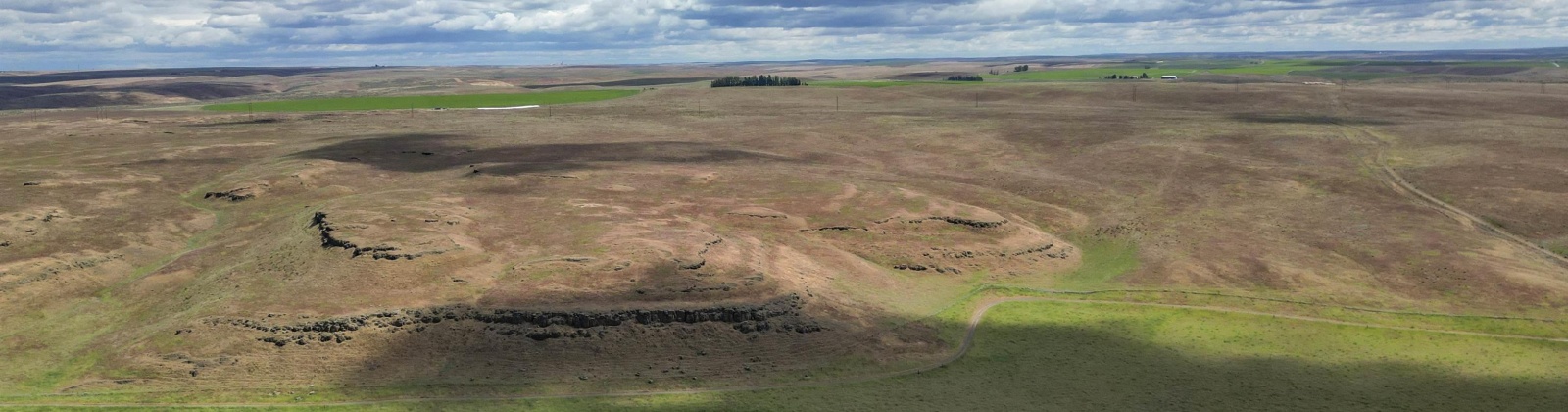 Quinto Rd, Eltopia, Washington 99330, ,Agricultural Land,For Sale,Quinto Rd,284328