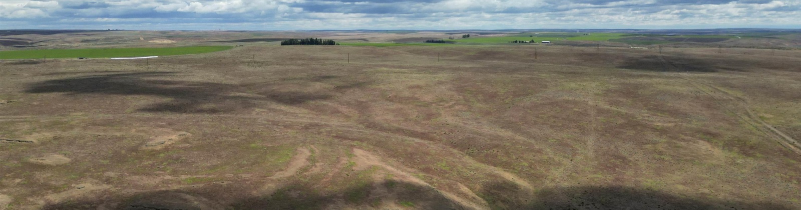 Quinto Rd, Eltopia, Washington 99330, ,Agricultural Land,For Sale,Quinto Rd,284328